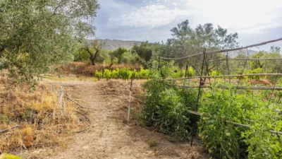 Rustic finca on Abrucena Street photo 30