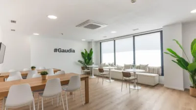 Apartment in Juan Carlos I photo 33