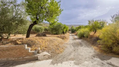 Rustic finca on Abrucena Street photo 25