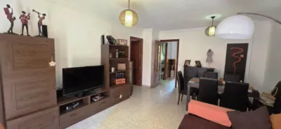 Apartment in Zacatín photo 4