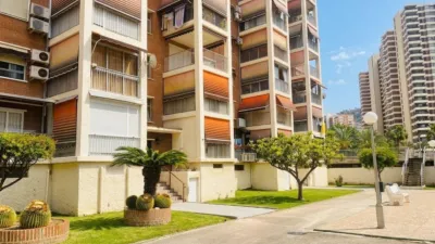 Apartment in Rincon de Loix photo 20