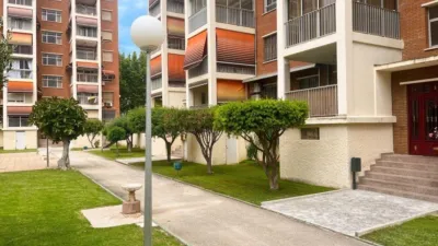 Apartment in Rincon de Loix photo 21