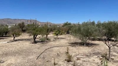 Chalet in Comunidad Valenciana photo 21