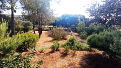 Casa en venta en Castilla y Leon, Palacios del Pan de 189.000 €