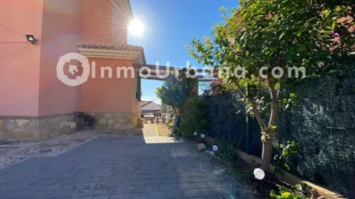 Chalet on Calle del Lligabosc photo 30