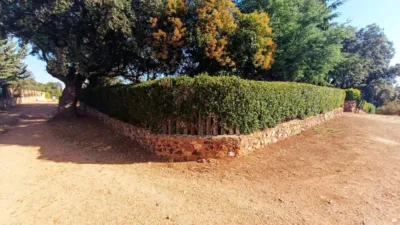 Casa en venta en Castilla y Leon, Palacios del Pan de 189.000 €