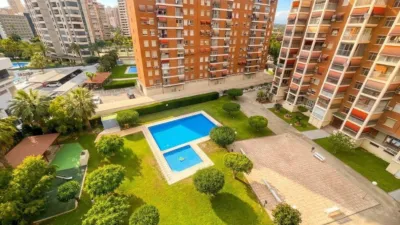 Pis – Benidorm - Vista 5