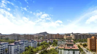 Apartment in Plaza del Mediterráneo photo 23