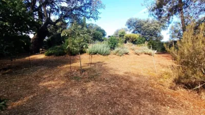 Casa en venta en Castilla y Leon, Palacios del Pan de 189.000 €