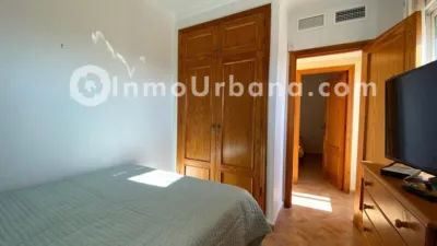 Chalet on Calle del Lligabosc photo 23
