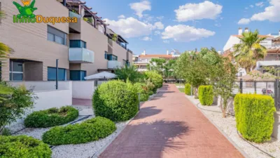 Apartment in Loma Verde photo 48