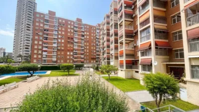 Apartment in Rincon de Loix photo 22