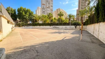 Apartment in Rincon de Loix photo 28