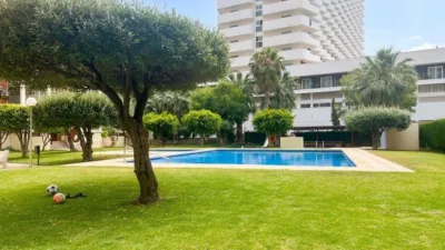 Apartment in Rincon de Loix photo 24