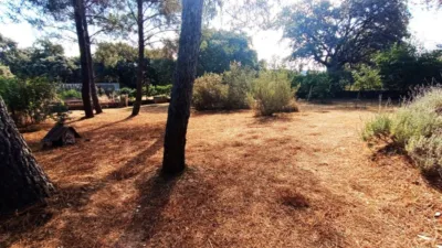 Casa en venta en Castilla y Leon, Palacios del Pan de 189.000 €