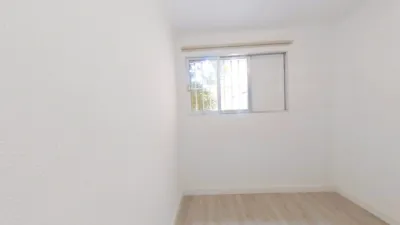 Apartment in San Pablo photo 12