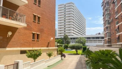 Apartment in Rincon de Loix photo 32