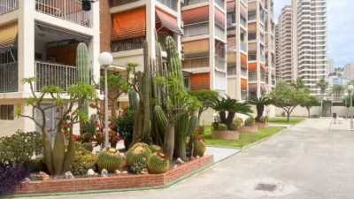 Apartment in Rincon de Loix photo 30