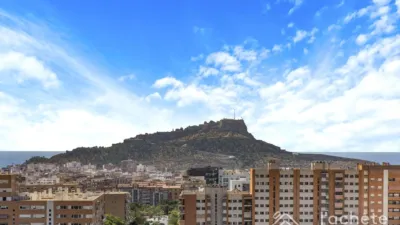 Apartment in Plaza del Mediterráneo photo 25