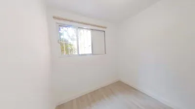 Apartment in San Pablo photo 11