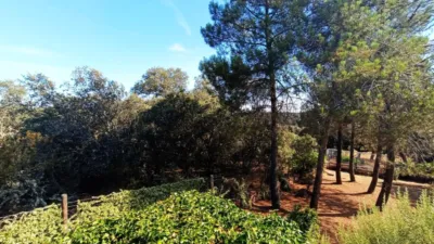 Casa en venta en Castilla y Leon, Palacios del Pan de 189.000 €