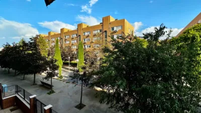 Apartment on Avenida de Rosa Chacel photo 34
