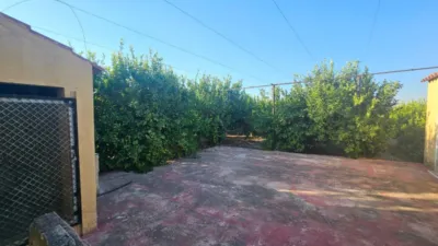 Rustic Finca in Librilla photo 15