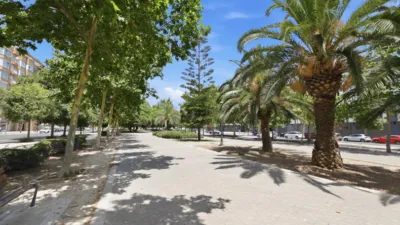 Flat in Sant Isidre photo 5