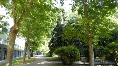 Apartment at 61 Gipuzkoa Etorbidea photo 22