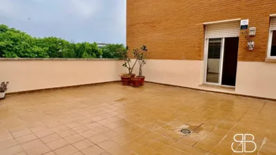 Apartment in Muntanyeta photo 30