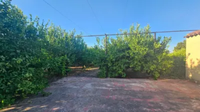 Rustic Finca in Librilla photo 17