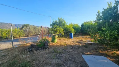 Rustic Finca in Librilla photo 8