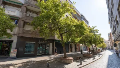 Apartment on Calle Nueva de San Antón, 14 photo 47