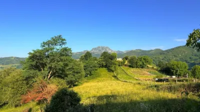 Finca rústica en venta en Calle El Cueto, Bonera (Bimenes) de 29.900 €