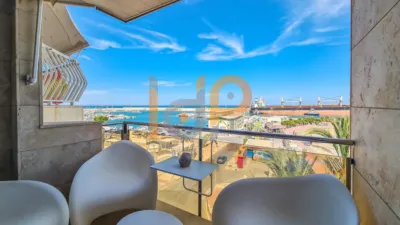 Apartment on Paseo del Malecon photo 5