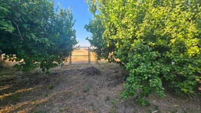 Rustic Finca in Librilla photo 18