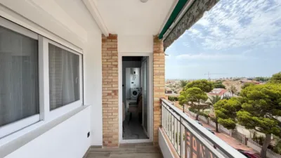 Apartment in La Zenia photo 40