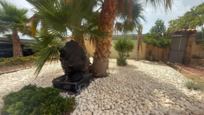 Chalet in La Alcoraya photo 60