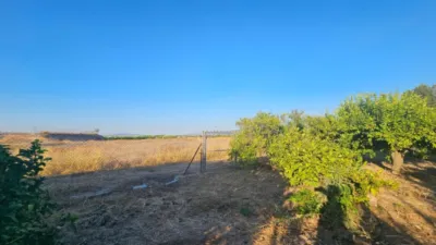 Rustic Finca in Librilla photo 6