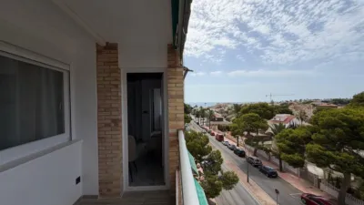 Apartment in La Zenia photo 42