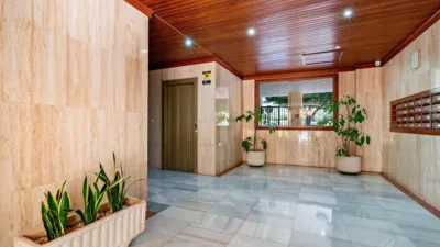 Apartment at Paseo del Palmeral, 5 photo 13