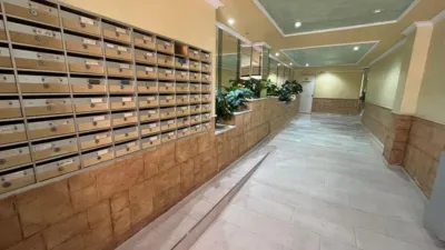Apartment in Torrevieja photo 16