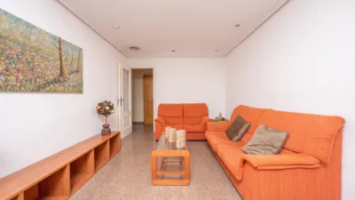 Pis – Elx - Elche - Vista 3