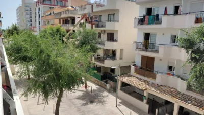 Apartment on Carrer de Ca s'Hereu photo 3