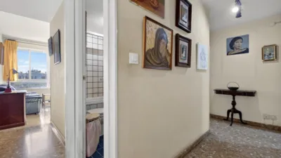 Apartment on Doctor Pedro de Castro Street photo 15