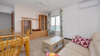 Pis – Torrevieja - Vista 3
