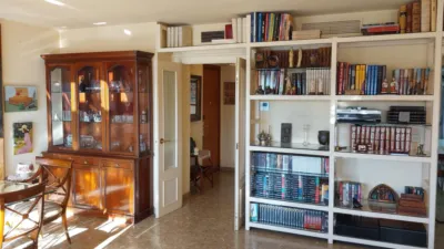 Apartment on Doctor Pedro de Castro Street photo 22