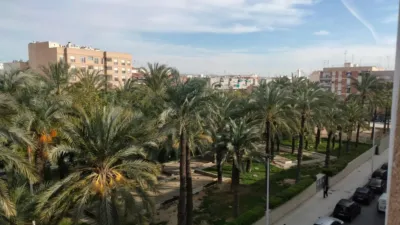 Pis – Elx - Elche - Vista 4