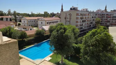 Apartment on Doctor Pedro de Castro Street photo 35