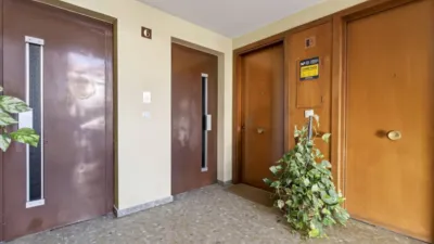 Apartment on Doctor Pedro de Castro Street photo 32